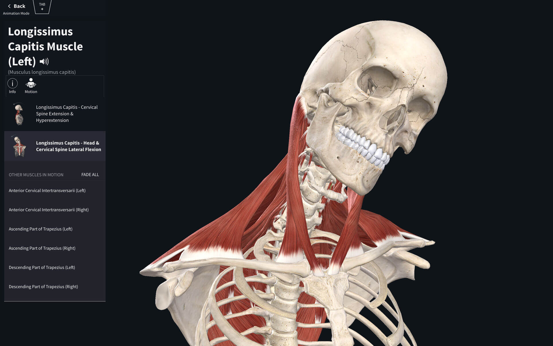 Complete Anatomy Mac Download